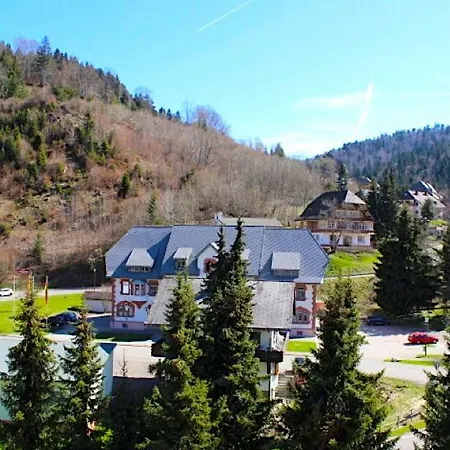 Mit Dem Roten Baum * טודמוס