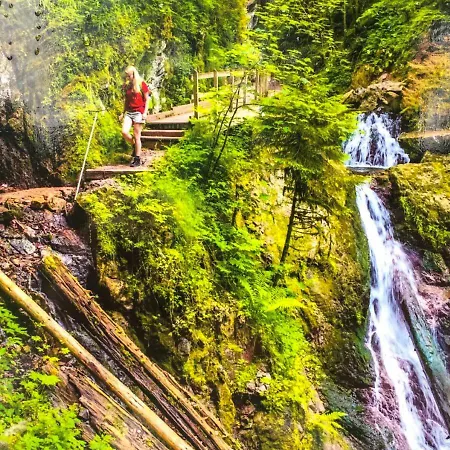 Mit Dem Roten Baum דירה