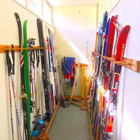 Mit Dem Roten Baum * טודמוס