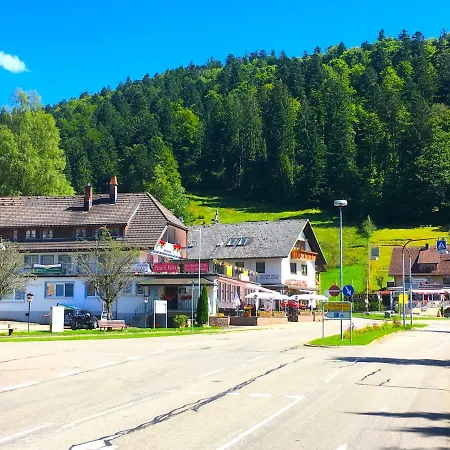 Mit Dem Roten Baum טודמוס