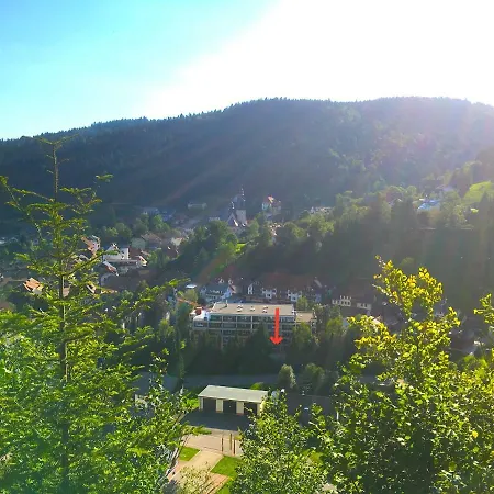 Mit Dem Roten Baum Apartment Todtmoos