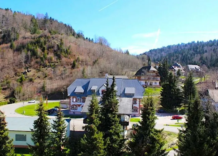 Mit Dem Roten Baum * トートモース