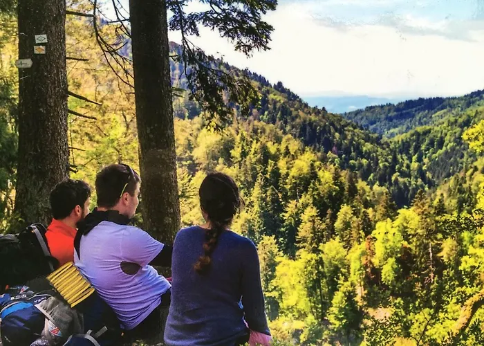 Mit Dem Roten Baum トートモース