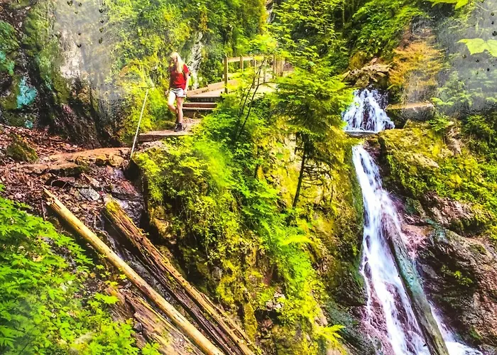 Mit Dem Roten Baum アパート